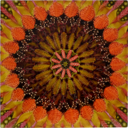 Andy Harper, Wonder Wheel, 2009, Oil on Linen, 19.5 x 19.5 Inches