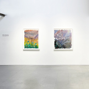 Chris Natrop "Any Way Shape Or Form" Exhibition at Nancy Toomey Fine Art (2024)