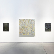 Claire Burbridge <i>Peripheral Visions</i> Exhibition Installation View at Nancy Toomey Fine Art (2024)