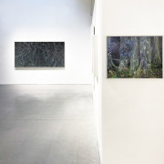 Claire Burbridge Peripheral Visions Exhibition Installation View at Nancy Toomey Fine Art (2024)