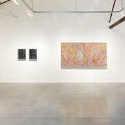 Claire Burbridge <i>Peripheral Visions</i> Exhibition Installation View at Nancy Toomey Fine Art (2024)