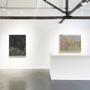 Claire Burbridge Peripheral Visions Exhibition Installation View at Nancy Toomey Fine Art (2024)