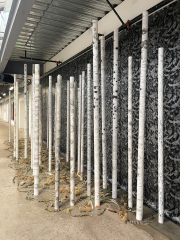 Claire Burbridge, Forest Elegy, 2022, Yupo paper, salt, watercolor, ink, installation (various sizes)