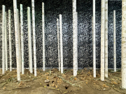 Claire Burbridge, Forest Elegy, 2022, Yupo paper, salt, watercolor, ink, installation (various sizes)