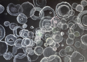 Claire Burbridge, Emanations, 2021, watercolor on Arches paper, 19.5 x 27.5 inches (unframed)