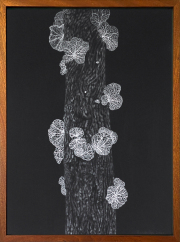 Claire Burbridge, Listening Tree 1, 2021, pigment pencil, pen and ink on Arches paper, 30 x 23 inches (framed)