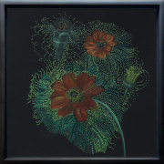 Claire Burbridge, <i>Mexican Sunflowers,</i> 2019, pigment pencils, pen and ink on Arches paper, 9.75 x 9.75 inches (framed)