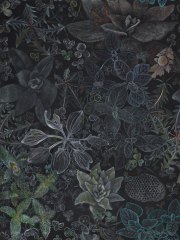 Claire Burbridge, <i>Night Garden,</i> 2017, Pigment Pencil on Arches Cotton Rag Black Paper, 29.5 x 23 Inches
