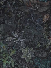Claire Burbridge, Night Garden, 2017, Pigment Pencil on Arches Cotton Rag Black Paper, 29.5 x 23 Inches