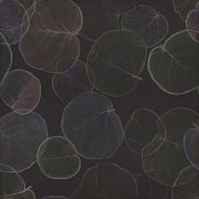 Claire Burbridge, Sea Grape, 2017, (Detail View) Wallpaper