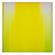 Gregg Renfrow, "Field of the Forest," 2023, polymer, pigment on cast acrylic, 48 x 48 inches