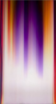Gregg Renfrow, <i>Iris with Yellow,</i> 2012, polymer and pigment on cast acrylic, 90 x 48 inches