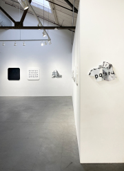 Maria Park Present Matter exhibition at Nancy Toomey Fine Art