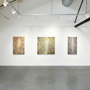 Mark Perlman "Comes and Goes" exhibition installation view at Nancy Toomey Fine Art