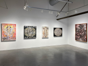 Matthew Picton, <i>The Age of Kali</i> exhibition view at Nancy Toomey Fine Art, 2022