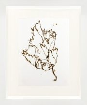Monica Lundy, "Tigli (Lime) Leaf from the Hospital Gardens of Santa Maria della Pietà," 2020, burned drawing on Fabriano paper, 12 x 10 inches (framed)