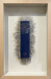 Barbara Wildenboer, "The Invertebrata," 2020, altered book, 18 x 11 x 2.5 inches